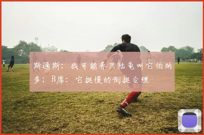 斯通斯：我可能养只陆龟叫它伯纳多；B席：它挺慢的倒挺合理