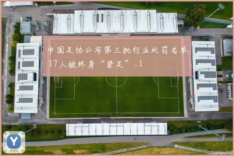 中国足协公布第三批行业处罚名单 17人被终身“禁足”_1