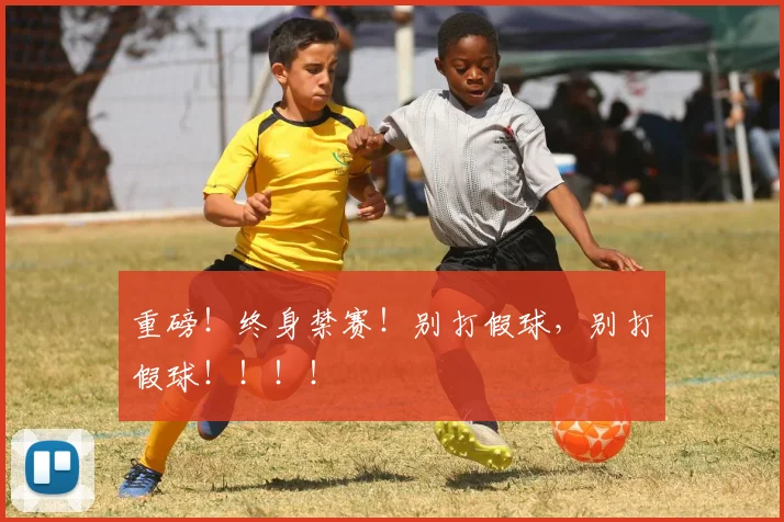 重磅！终身禁赛！别打假球，别打假球！！！！