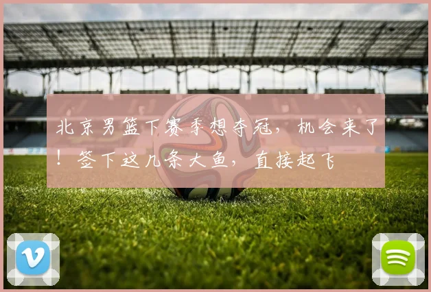 北京男篮下赛季想夺冠,机会来了!签下这几条大鱼,直接起飞